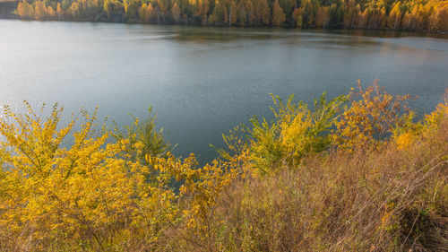 Scenic view of lake in forest during autumn