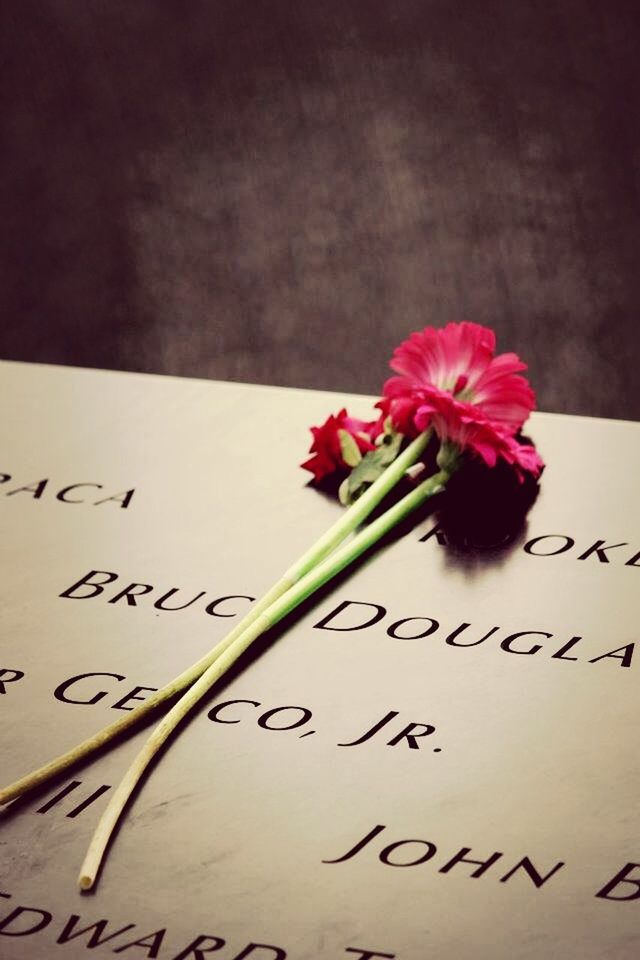 flower, text, western script, paper, petal, communication, indoors, freshness, fragility, close-up, flower head, pink color, no people, wall - building feature, decoration, stem, nature, table, studio shot, love