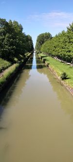 Scenic view of river amidst trees against sky