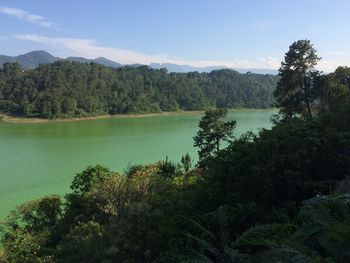 Scenic view of lake in forest against sky