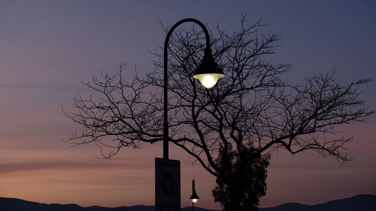 low angle view, lighting equipment, tree, silhouette, bare tree, branch, street light, electricity, sky, illuminated, dusk, nature, clear sky, sunset, electric light, outdoors, electric lamp, night, no people, built structure