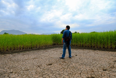 Rear view of man standing on field against sky