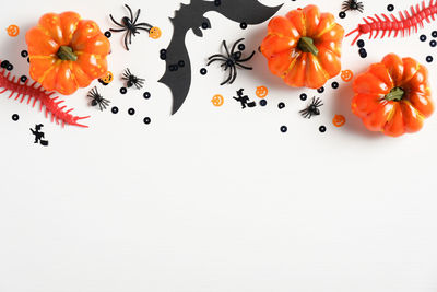 High angle view of orange berries on white background