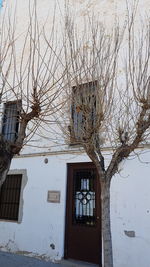 Low angle view of bare tree against building