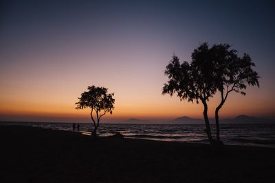 Silhouette trees on beach against sky during sunset