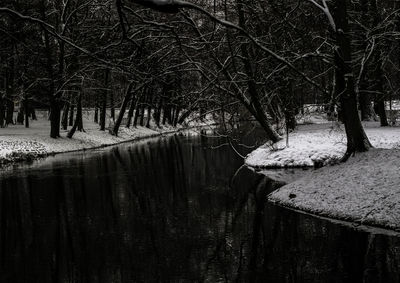 Bare trees by lake in forest during winter