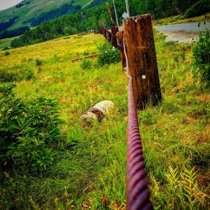 Wooden railing on grassy field