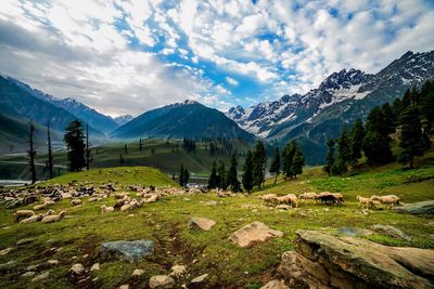 Scenic view of landscape and mountains against sky