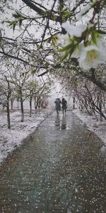 Rear view of people walking on wet road during rainy season