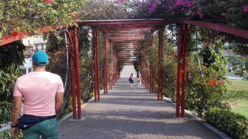Rear view of woman walking on footpath