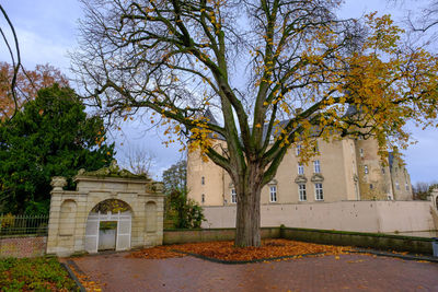 Trees and historic building against sky