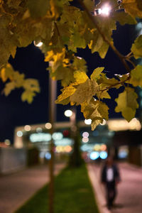 View of illuminated road at night