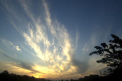 Low angle view of silhouette trees against sky during sunset