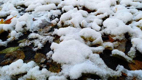 High angle view of snow covered stones