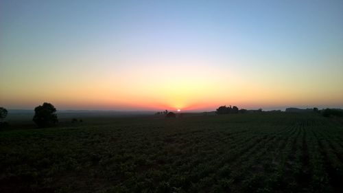 Scenic view of agricultural field against clear sky during sunset