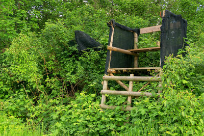 Wooden fence in a forest