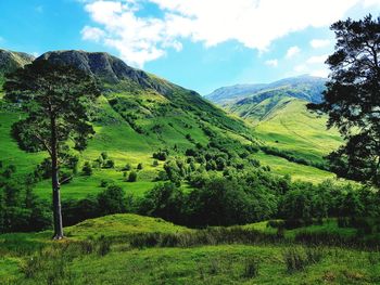 Scenic view of landscape against sky