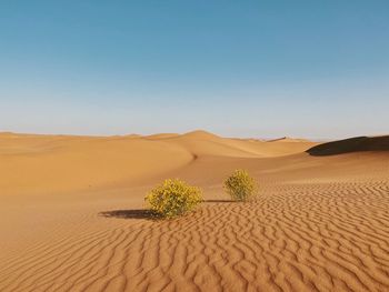 Scenic view of desert against clear sky