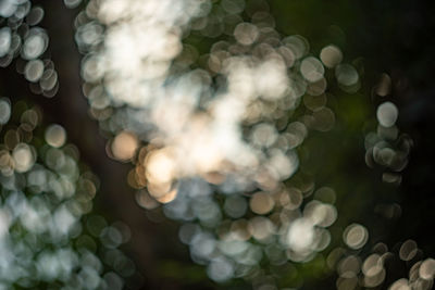 Defocused image of illuminated lights