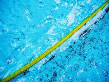 Reflection of trees in water