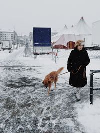 Dog standing on snow covered field