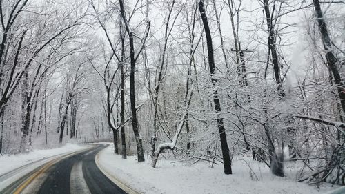 Snow covered road amidst trees during winter