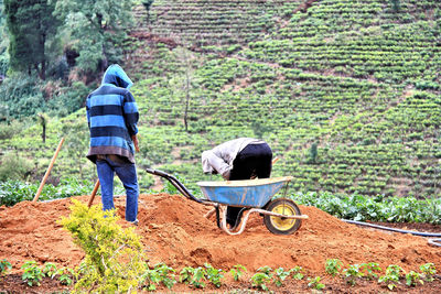 Rear view of people working in farm