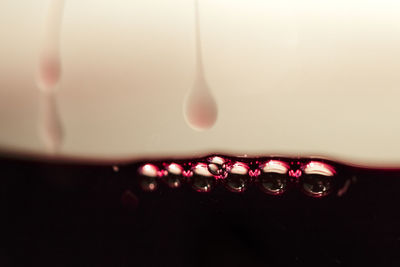 Close-up of water drops on glass