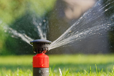 Close-up of automatic pop-up lawn sprinkler during irrigation