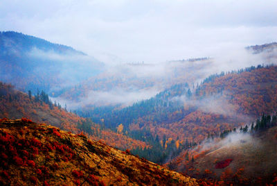 Scenic view of landscape against sky during autumn