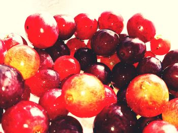 Close-up of red berries