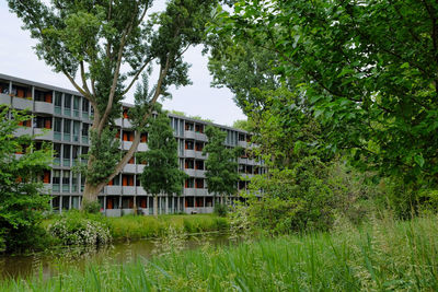 Houses by trees against sky