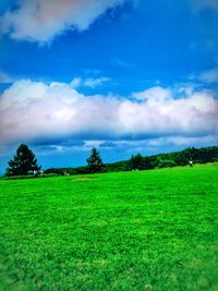 Scenic view of grassy field against cloudy sky