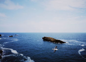 Seagull flying over sea against sky