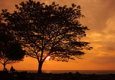 Silhouette tree against sky during sunset