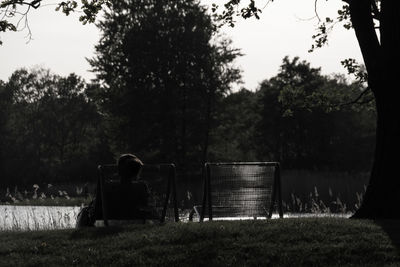 Trees on field against sky