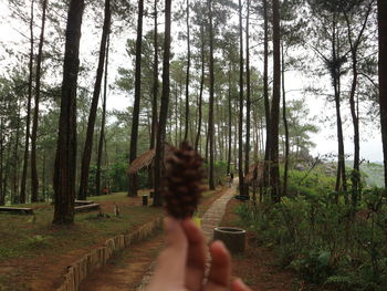 Blurred motion of person hand against trees in forest