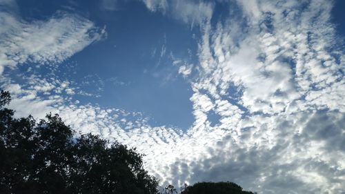 Low angle view of trees against sky