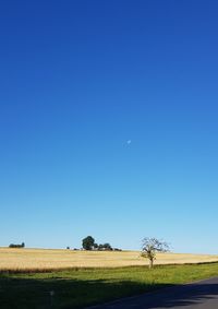 Scenic view of agricultural field against clear blue sky