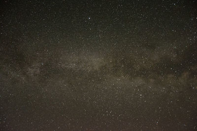 Low angle view of star field against sky at night