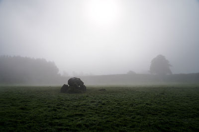 Scenic view of field against sky during foggy weather