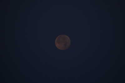 Low angle view of moon against clear sky at night