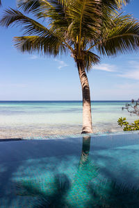 Infinity swimming pool near the ocean at maldive islands