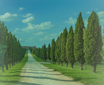 Panoramic view of road amidst trees on field against sky