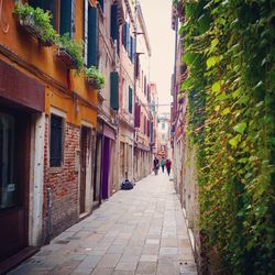 Narrow alley in city