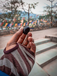 Close-up of person holding a black cgrape in the hands