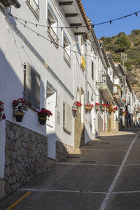 Street of typical andalusian town in the province of malaga jimena de libar