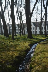 View of park with buildings in background