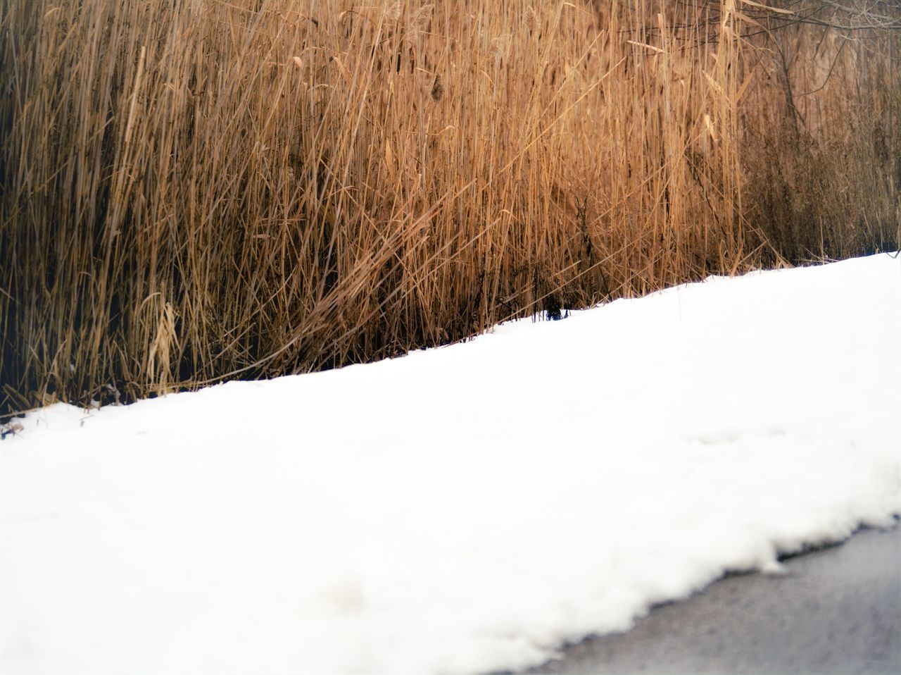 CLOSE-UP OF SNOW COVERED LAND ON FIELD