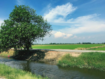 Scenic view of field against sky